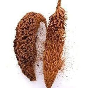 Madhanakama Poo, 100g, Queen Sago, Sago Palm, Cycas Circinalis, Fern Palm, 100g