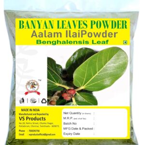 Aalam Ilai Powder, 100g, Banyan Leaves, Maricheta, Ficus Benghalensis Powder