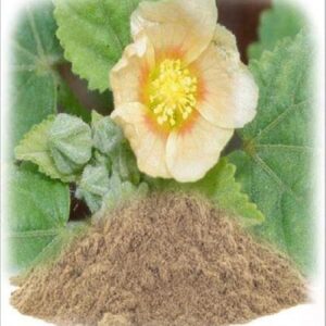 Kurunthotti Powder 100g | Bala Powder | Kurunthotti podi | bala gida pudi