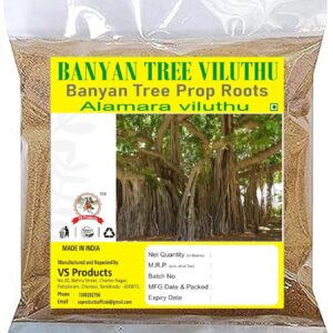 Banyan Root Powder, 100g, Bargad Jad, Marri Udala, Ficus Benghalensis Root, Aalam Ver Powder, Good For Tooth Problems