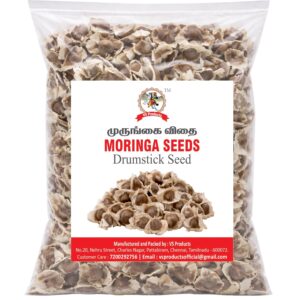 Moringa Seeds, 100g, Murungai Vidhai Seeds, Drumstick Seed, Mulaga Chettu, Ahijan, Muringai
