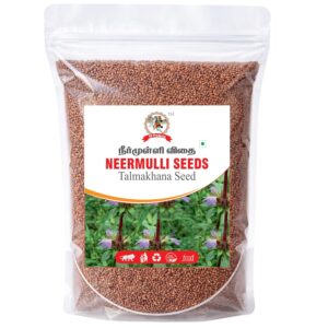 Neermulli, 100g | Hygrophila auriculata | Marsh Barbel | Kokilaksha Seed, 100g